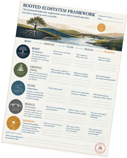 assessment for organizations